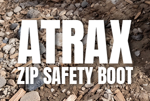 Atrax_4